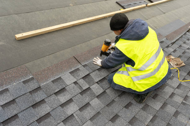 Best Roof Gutter Cleaning  in Woodlawn, VA