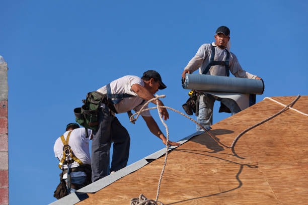 Best Roof Maintenance Services  in Woodlawn, VA