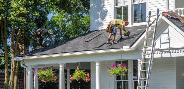 Roof Gutter Cleaning in Woodlawn, VA